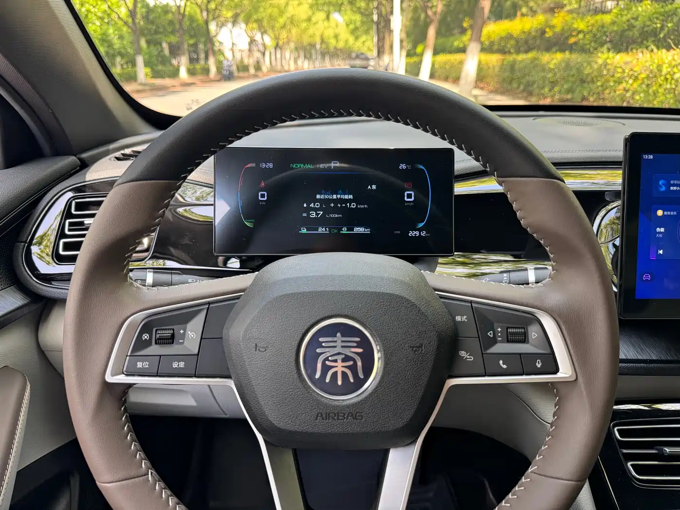 BYD Qin PLUS 2024 Glory Edition DM-i 55KM Leading фото 10