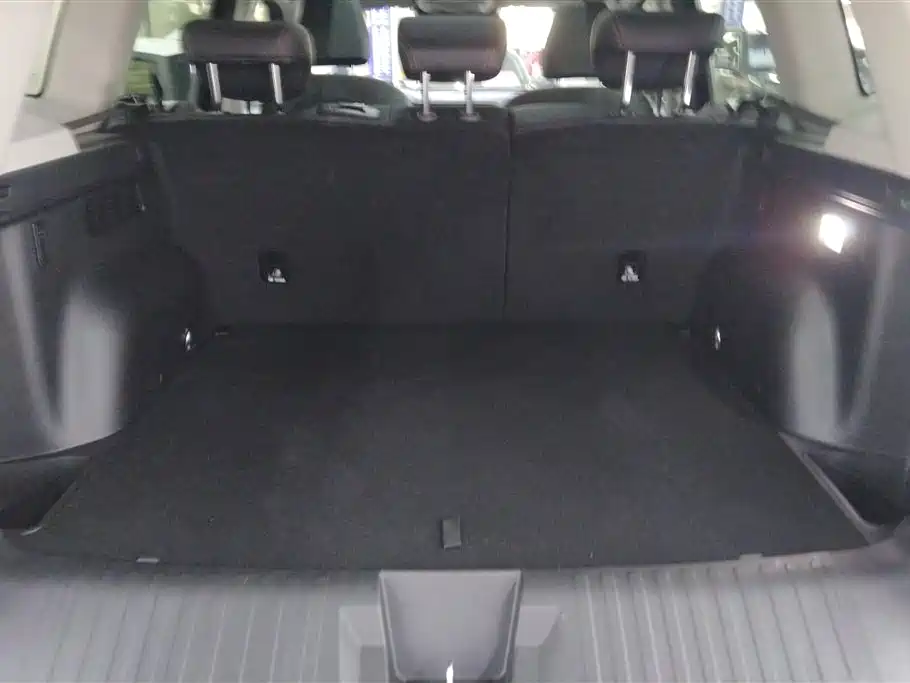 HAVAL BIG DOG