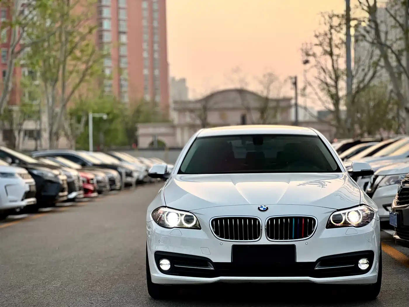 BMW 5 Series 2014 525Li Leading фото 2
