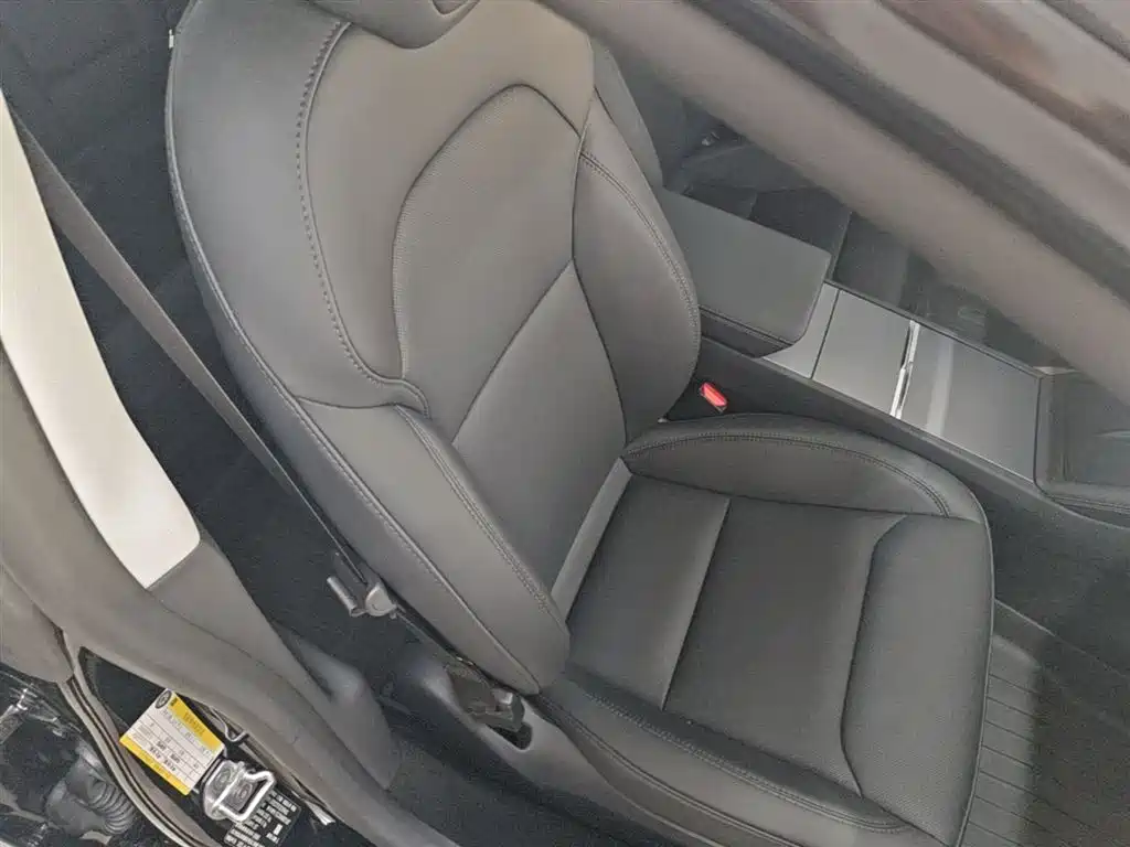 Tesla Model 3 2025 2025 Model Rear-Wheel Drive Edition