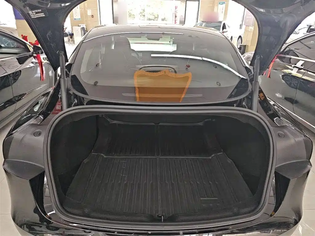 Tesla Model 3 2025 2025 Model Rear-Wheel Drive Edition
