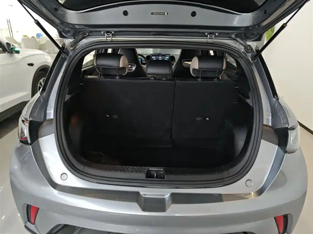 BYD Dolphin 2024 Glory Edition 420km Fashion Edition фото 19