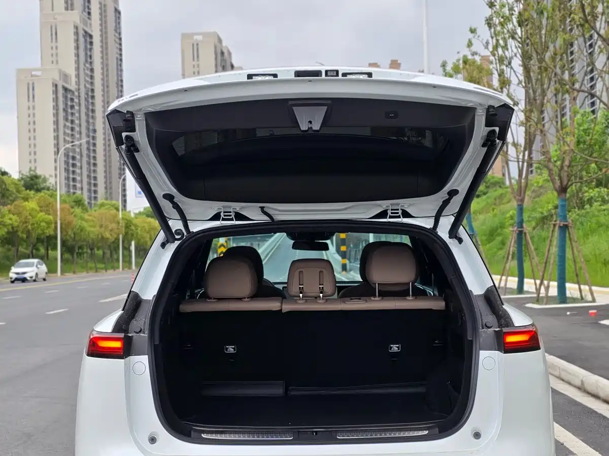 Фото 6 - XPeng G9