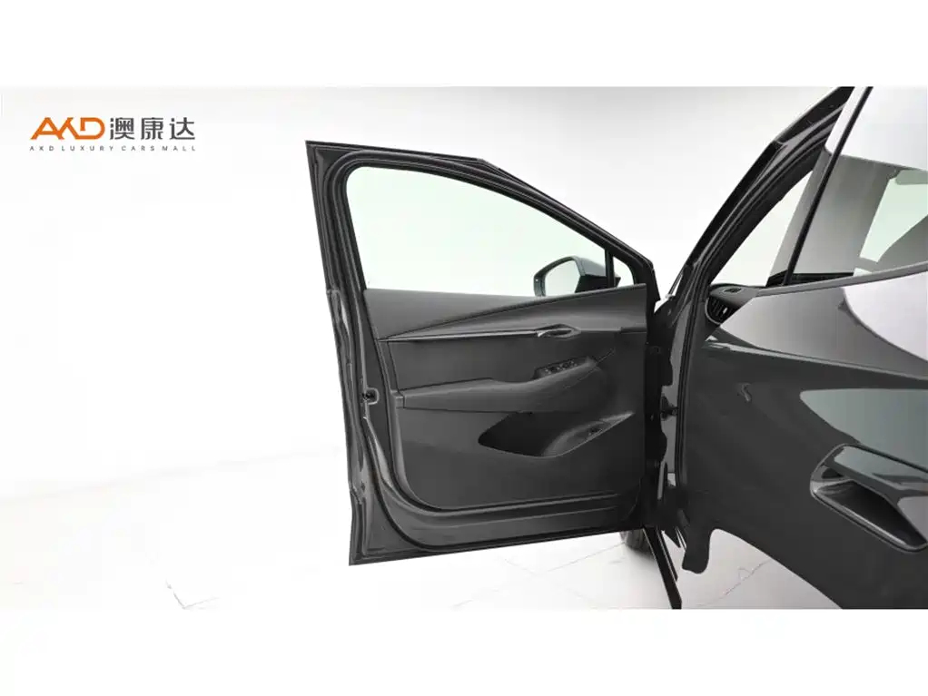 VOLKSWAGEN WITH THE CROWD 06