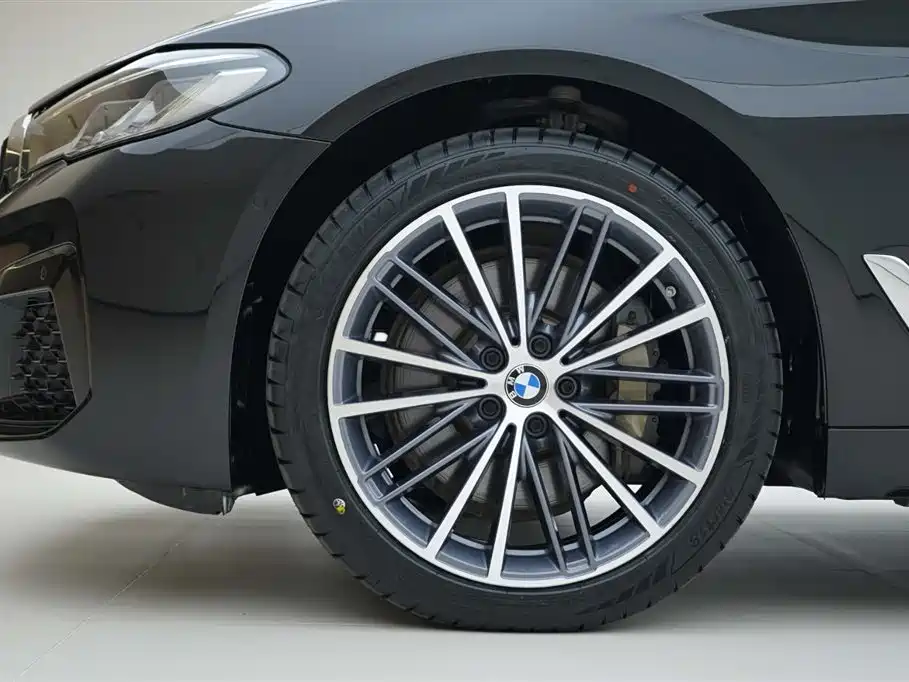 BMW 5 Series 2021 530Li xDrive M Sport Package фото 15