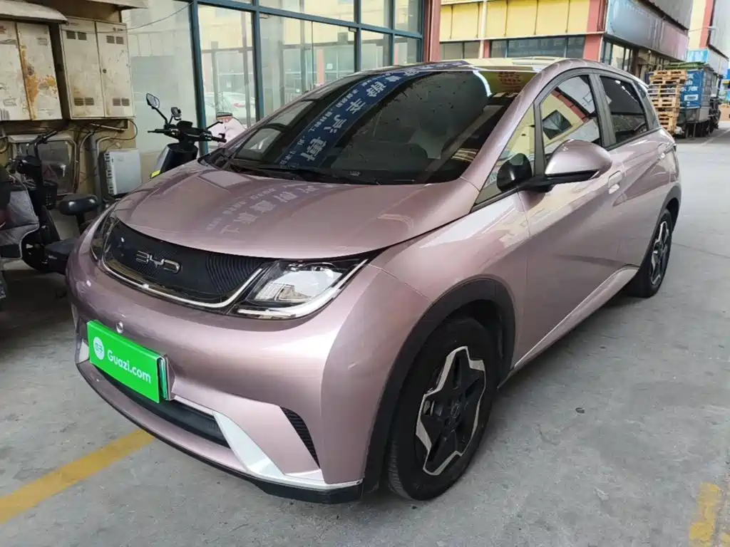 BYD Dolphin 2021 — пригон из Китая