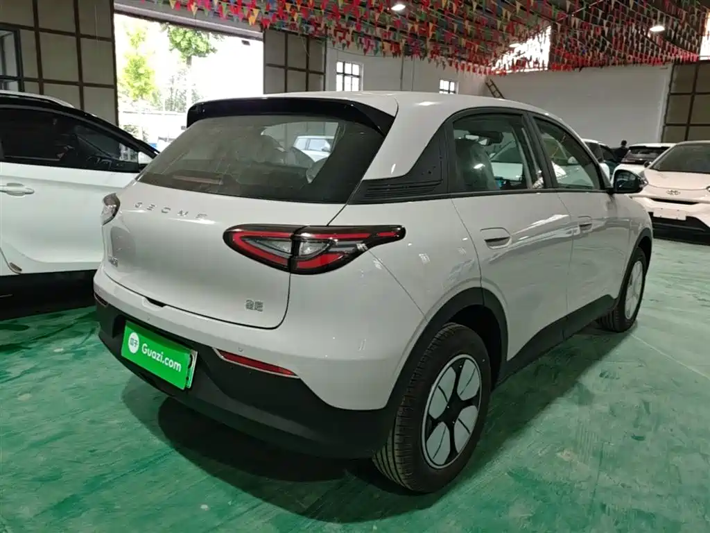 Geely Galaxy Starry Wish 2026 Edition 310km Youth Version фото 7