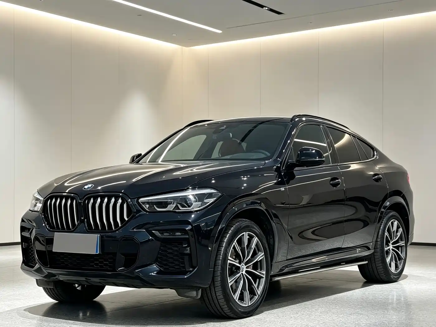 BMW X6 2023 2023 xDrive30i M Sport Package