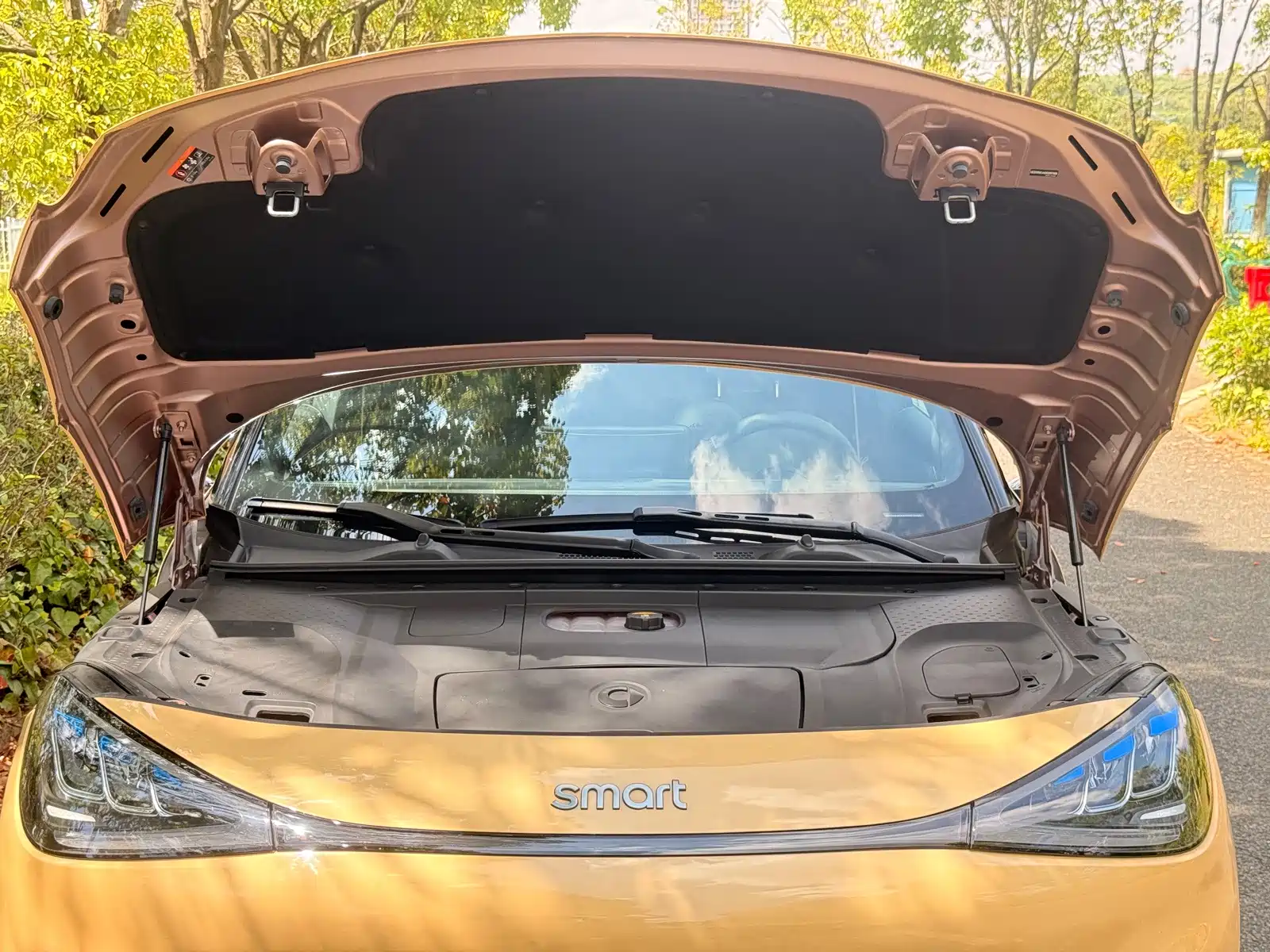 Фото 17 - smart Elf #1