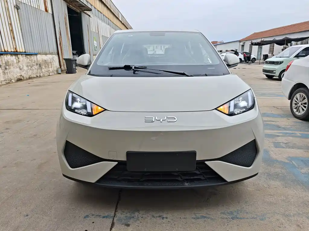 2026 BYD Seagull