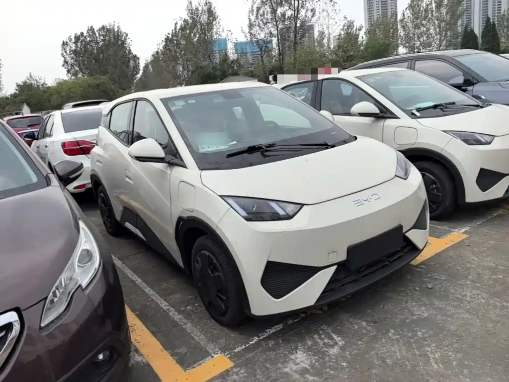 BYD Seagull 2026 2025 Smart Drive Edition 305km Vitality Version