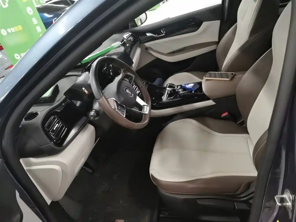 BYD Qin PLUS 2024 Glory Edition DM-i 55KM Leading фото 15