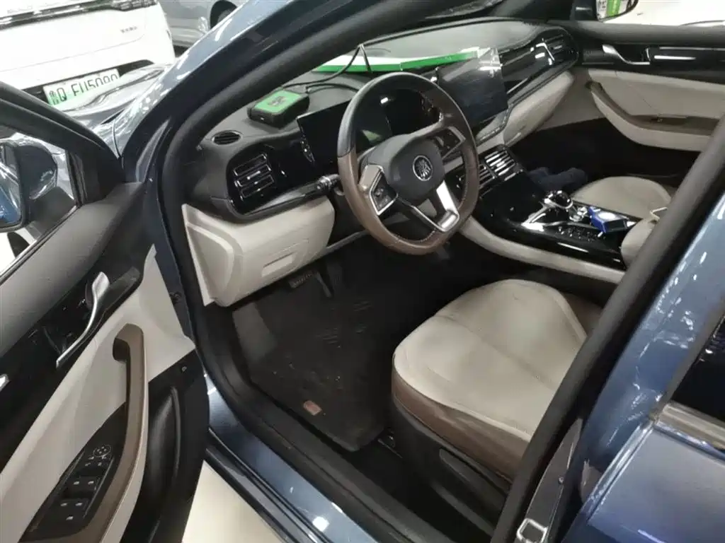 BYD Qin PLUS 2024 Glory Edition DM-i 55KM Leading фото 16