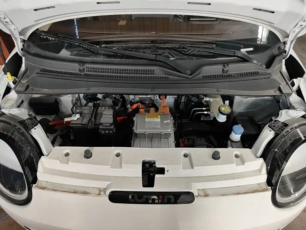 Changan Lumin 2026 2026 Model 205km Treasure Edition