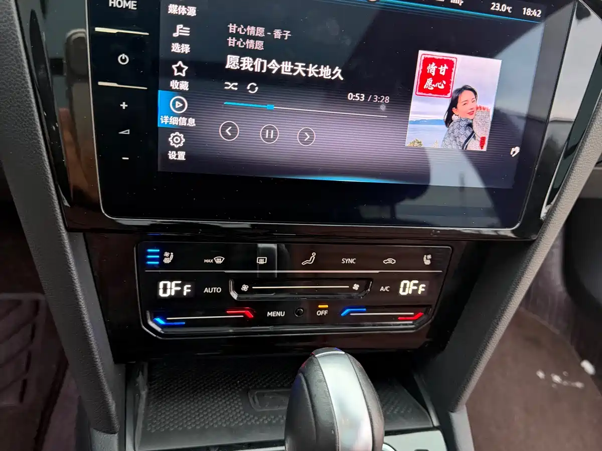 Volkswagen Weilan 2021 2.0T Touring фото 14