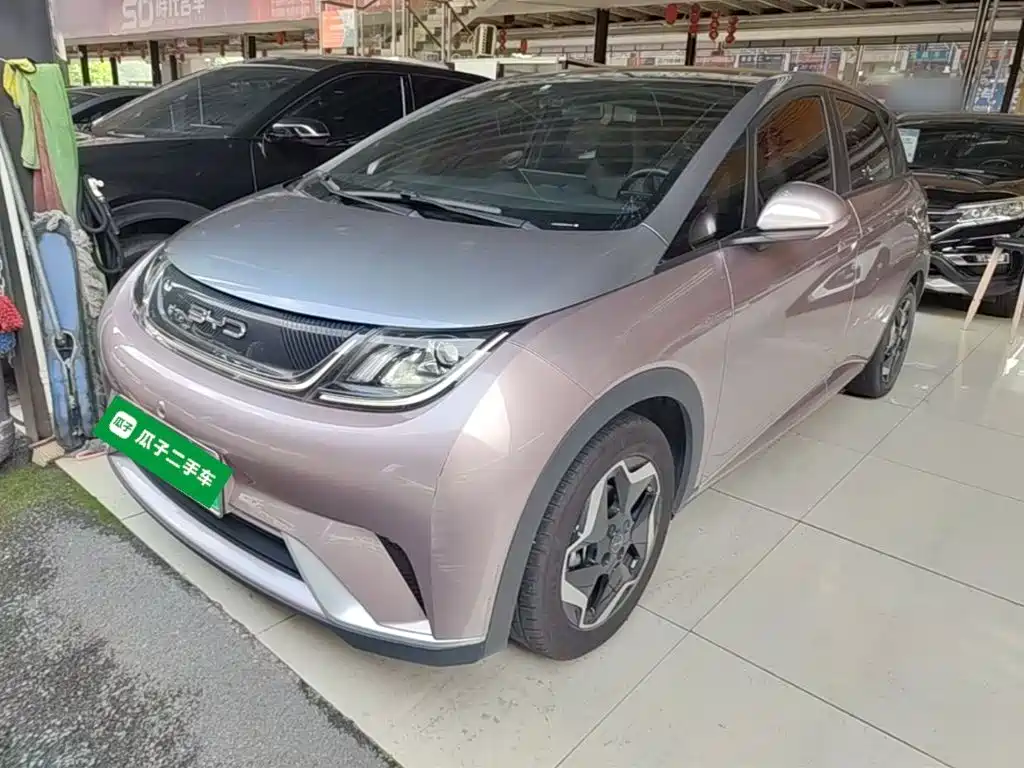 BYD Dolphin 2021 Model 405km Fashion Edition