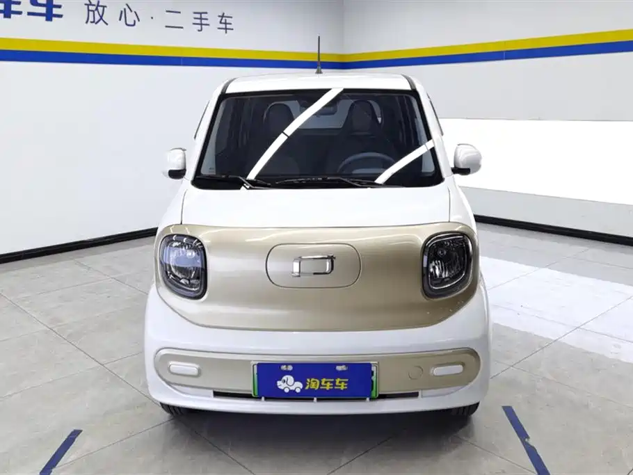 BESTUNE PENTIUM PONY