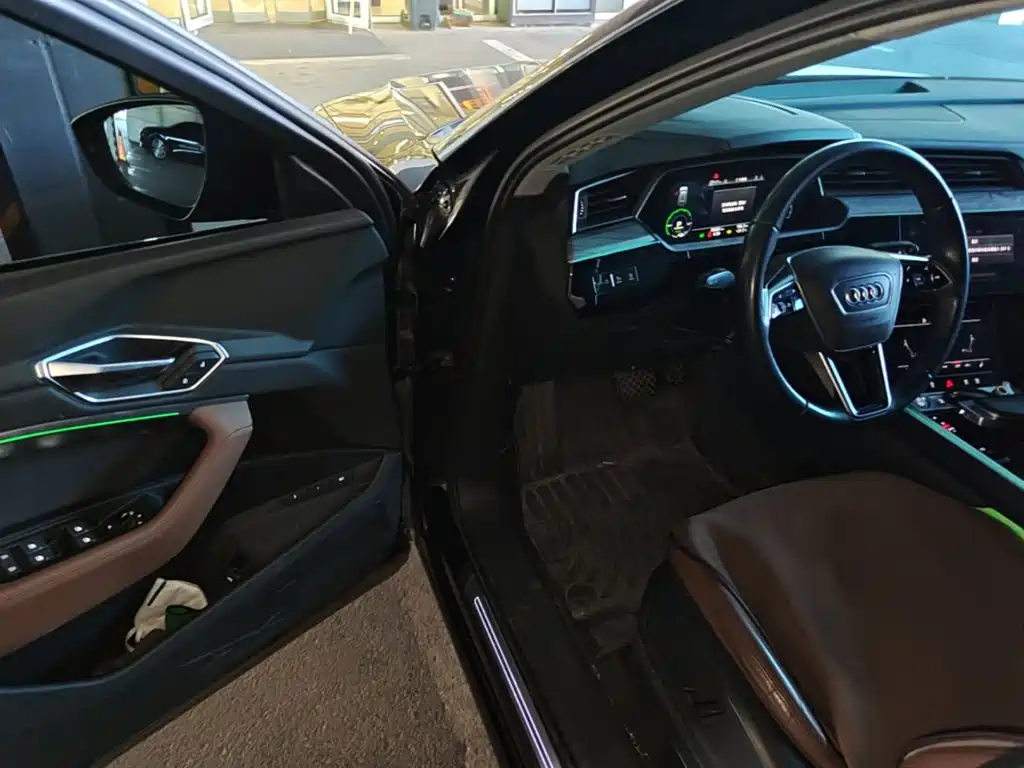 Audi e-tron (Import) 2021 2019 55 quattro Technology