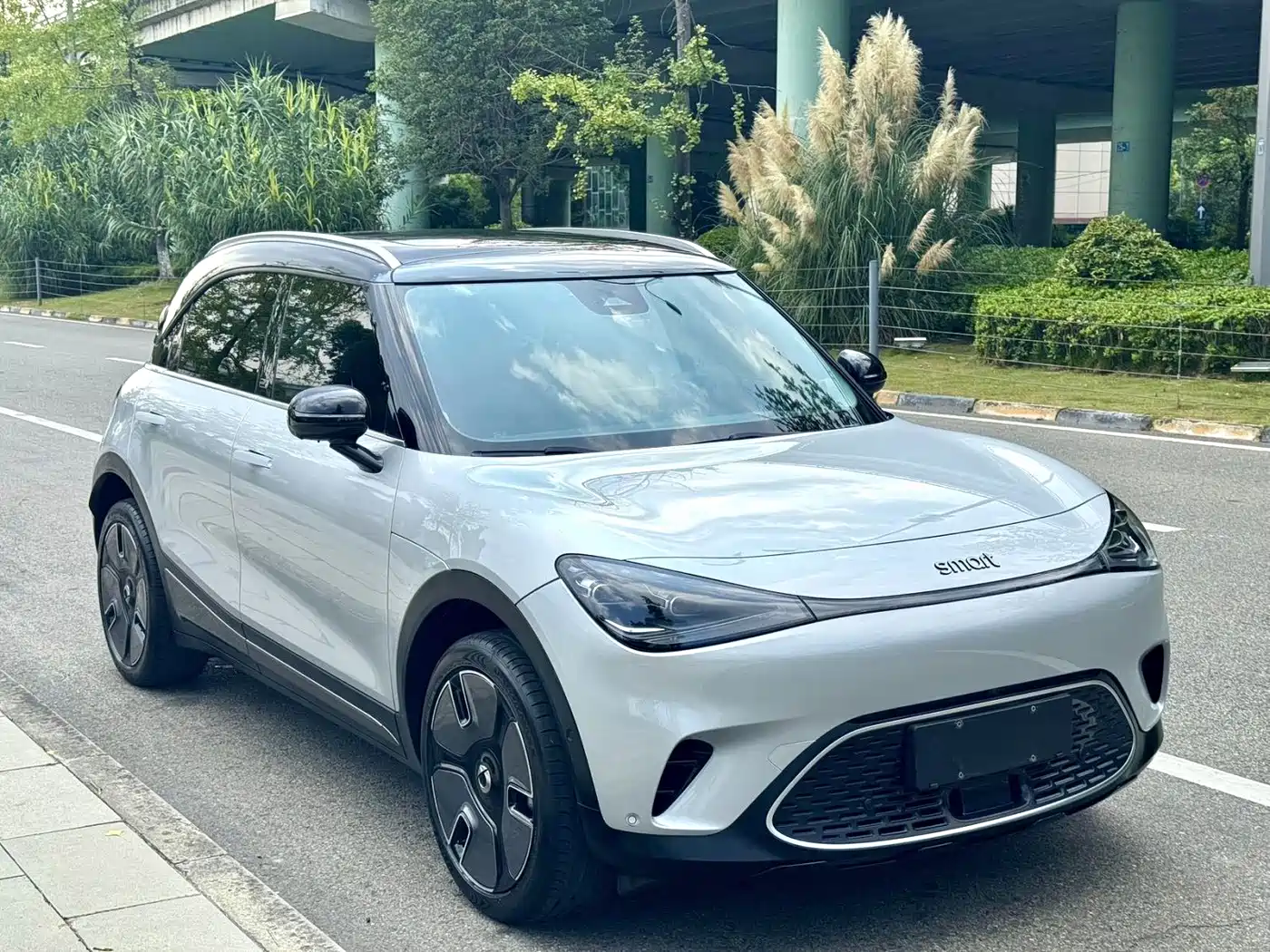 smart Elf #1 2022 2022 Premium Edition