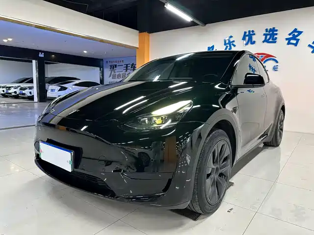Tesla Model Y Задний привод
