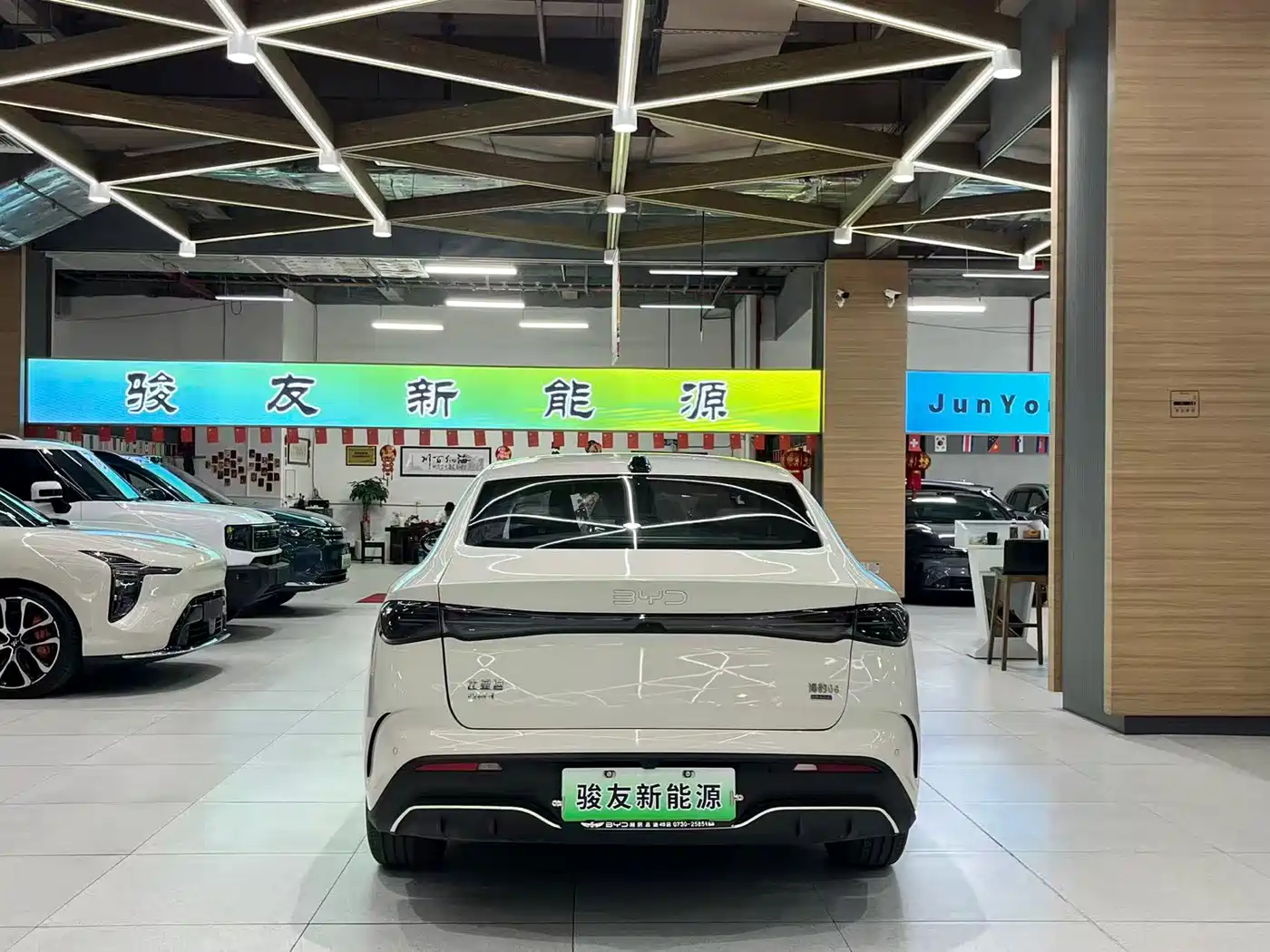 BYD Seal 06 New Energy 2025 DM-i Smart Drive Edition 120KM Luxury фото 6
