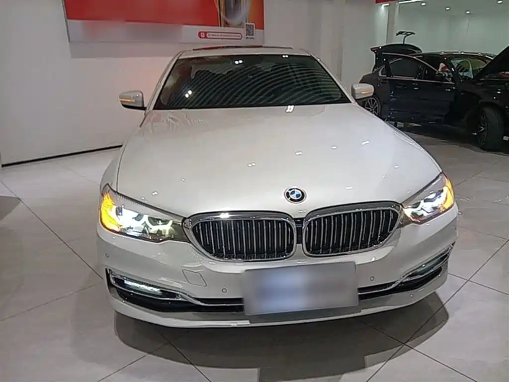BMW 5 Series 2018 Facelift 530Li Leading Luxury Package фото 3