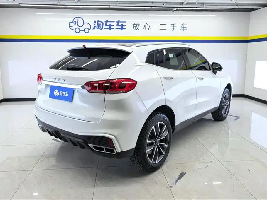 WEI PAI WEI BRAND VV5