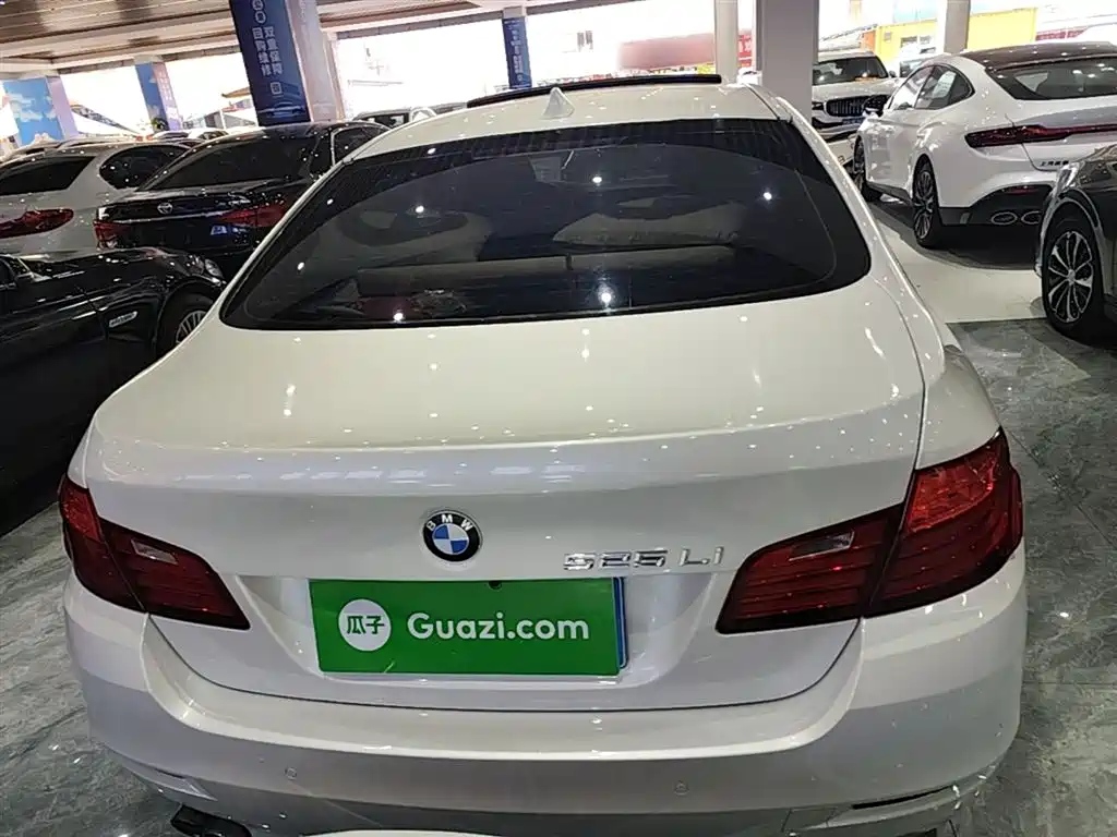 BMW 5 Series 2014 525Li Leading фото 6