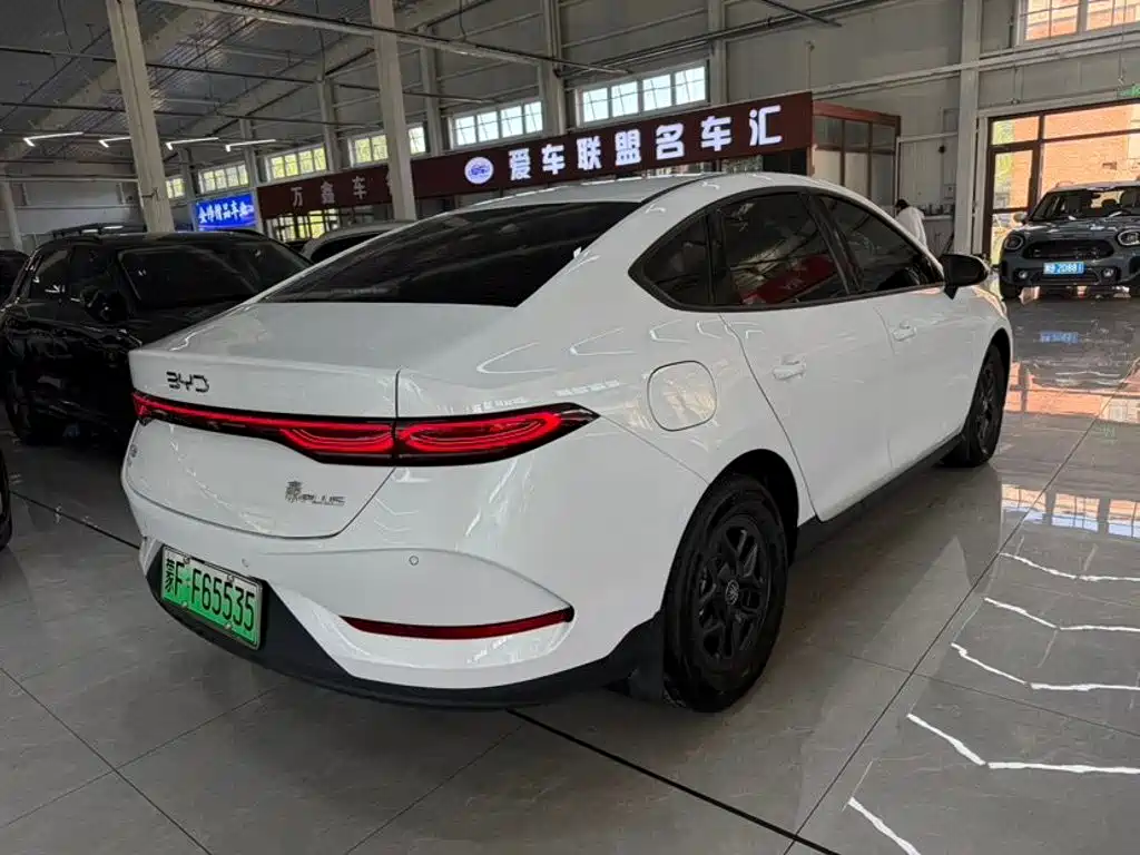 Фото 9 - BYD Qin PLUS