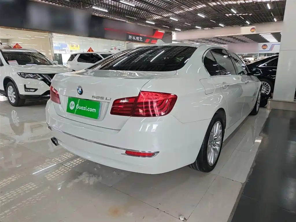 BMW 5 Series 2014 525Li Luxury Design Package фото 7