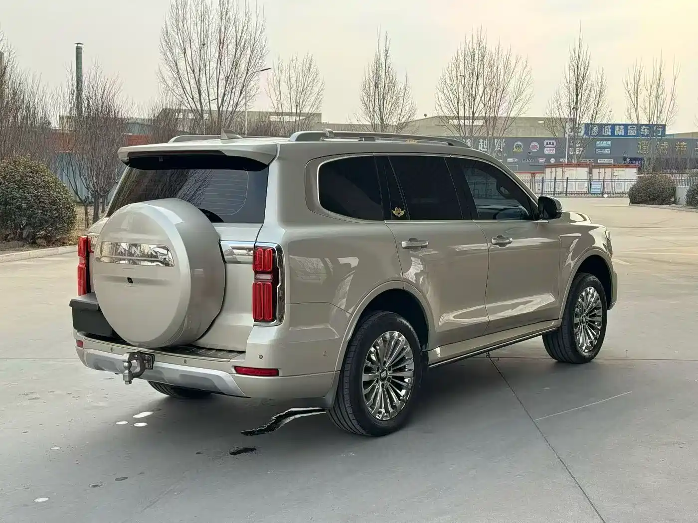 Tank 500 2022 2022 3.0T Business Edition Dengfeng 5-Seater
