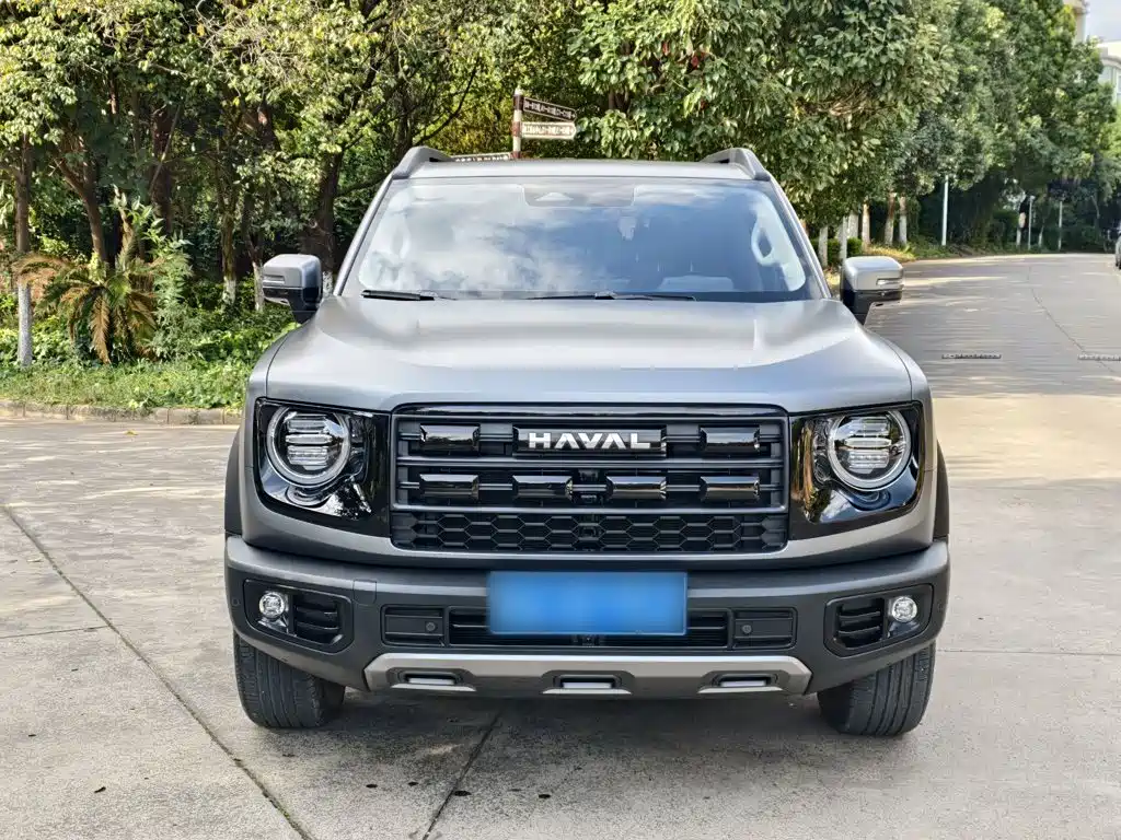 Фото 3 - Haval Dargo