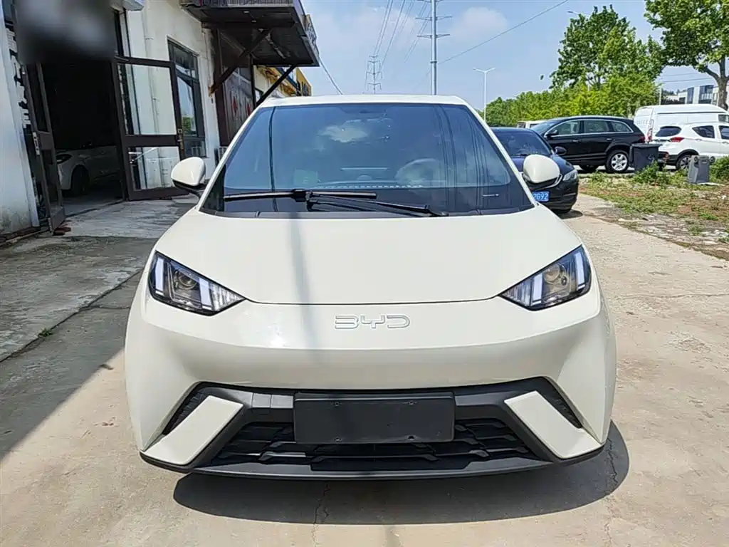BYD Seagull 2024 Glory Edition 305km Vitality Edition фото 3