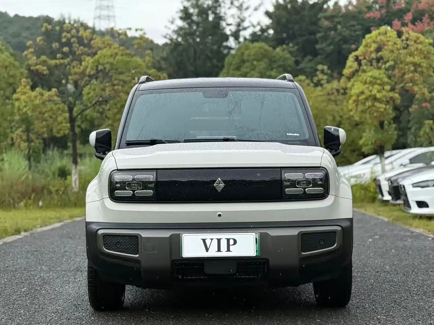 Baojun Yueye Plus 2025 2026 301km Flagship