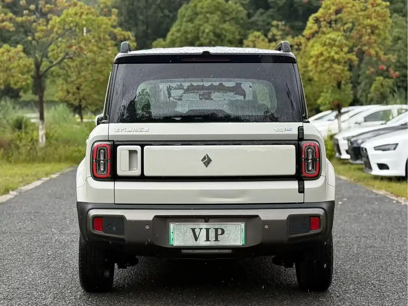 Baojun Yueye Plus 2025 2026 301km Flagship