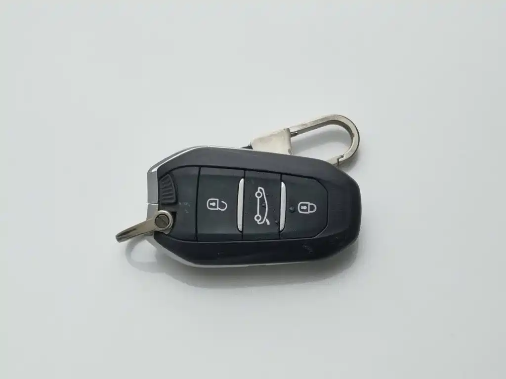 صورة 19 - Peugeot 408