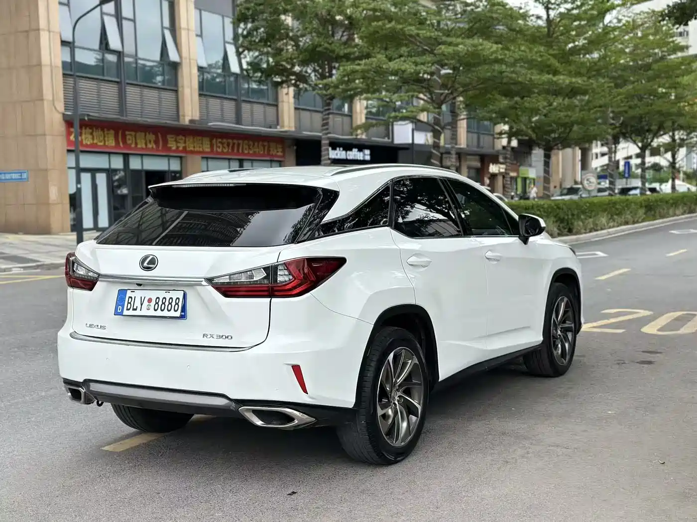 Lexus RX 2016 300 4WD Elegance Edition (China V) фото 11