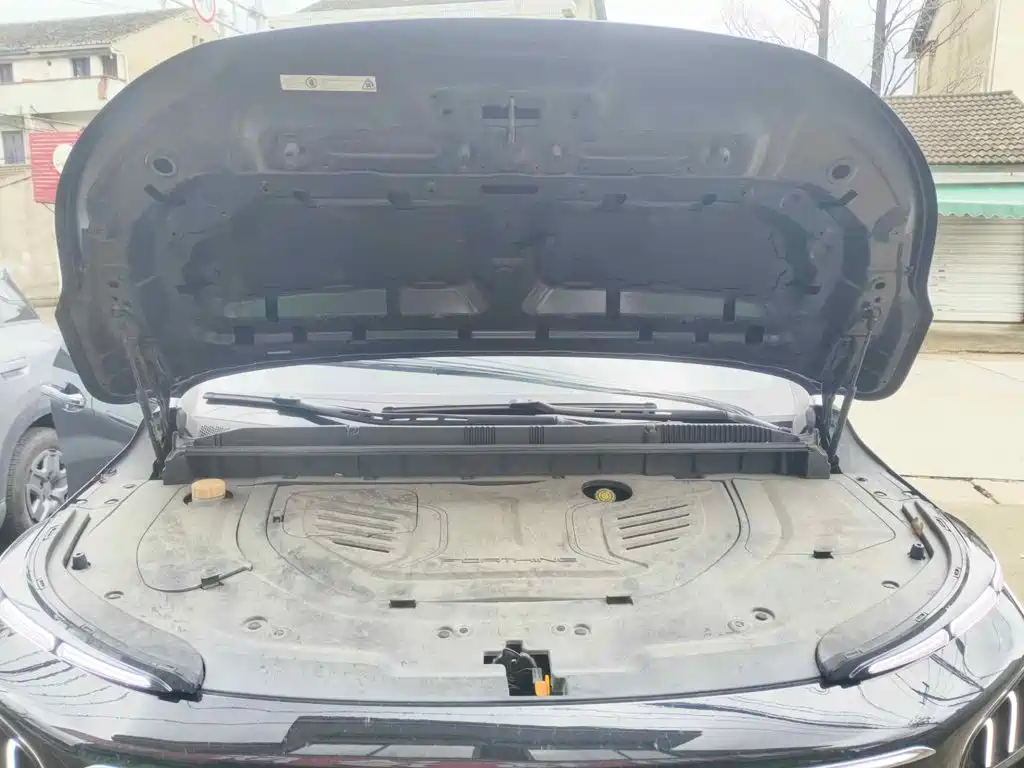 Dongfeng Fengxing Starlight V9 2025 2026 Beyond Joy Series 200km Comfort