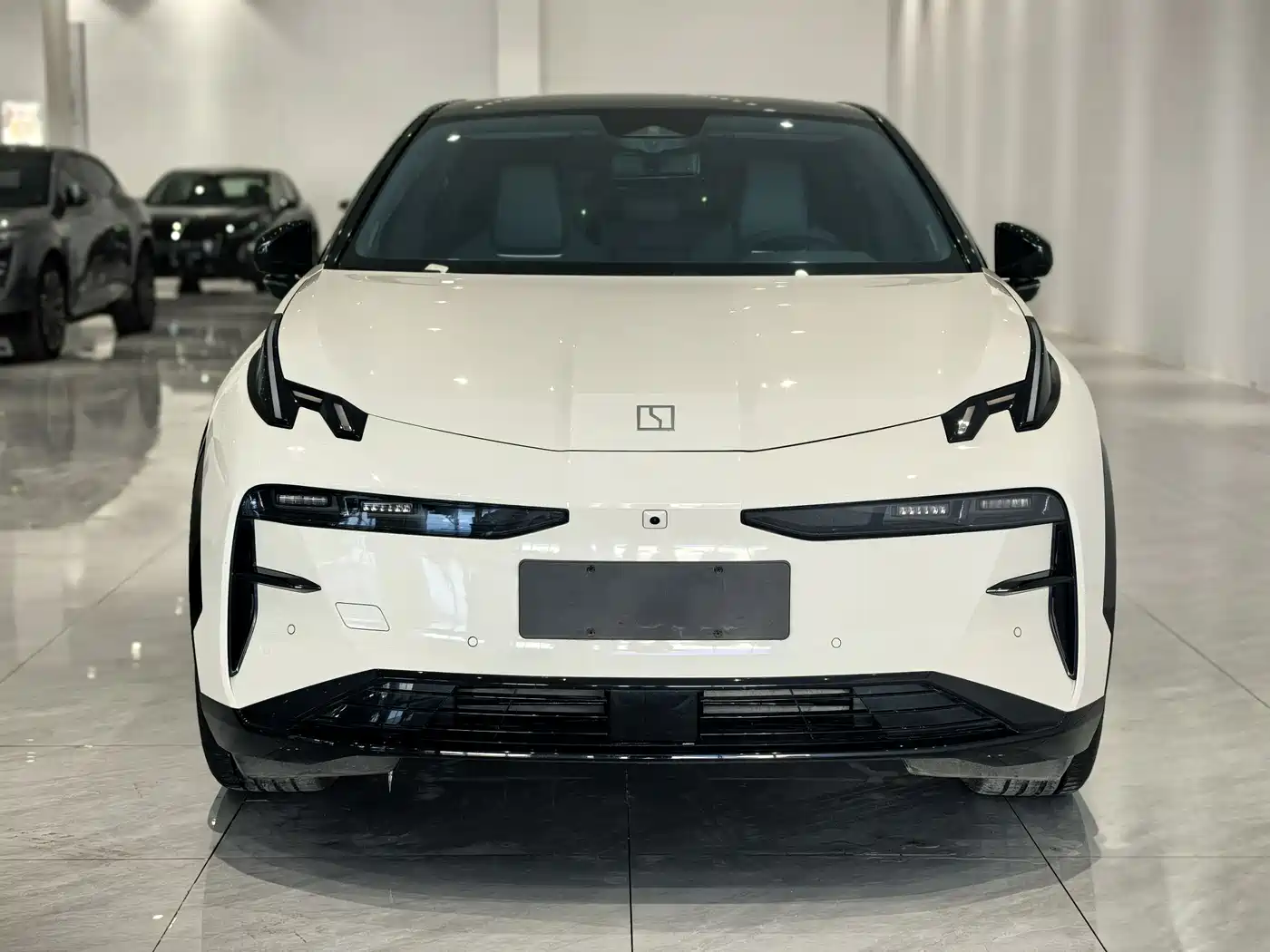 ZEEKR EXTREME KRYPTON X