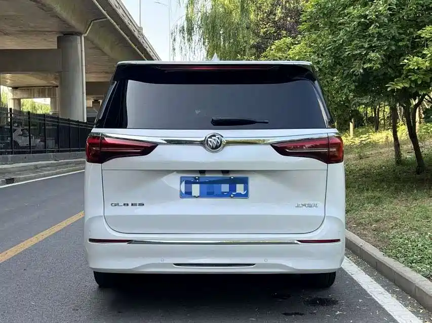 Buick GL8 2023 ES Landmaster Luxury фото 3