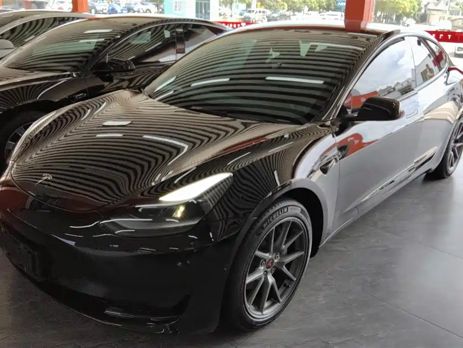 Tesla Model 3 2022 Model Rear-Wheel Drive Version