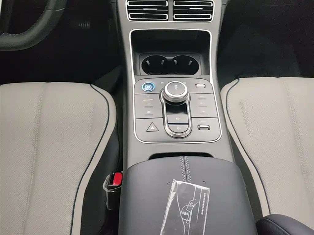 BYD Destroyer 05 2024 Glory Edition DM-i 55KM Luxury фото 14