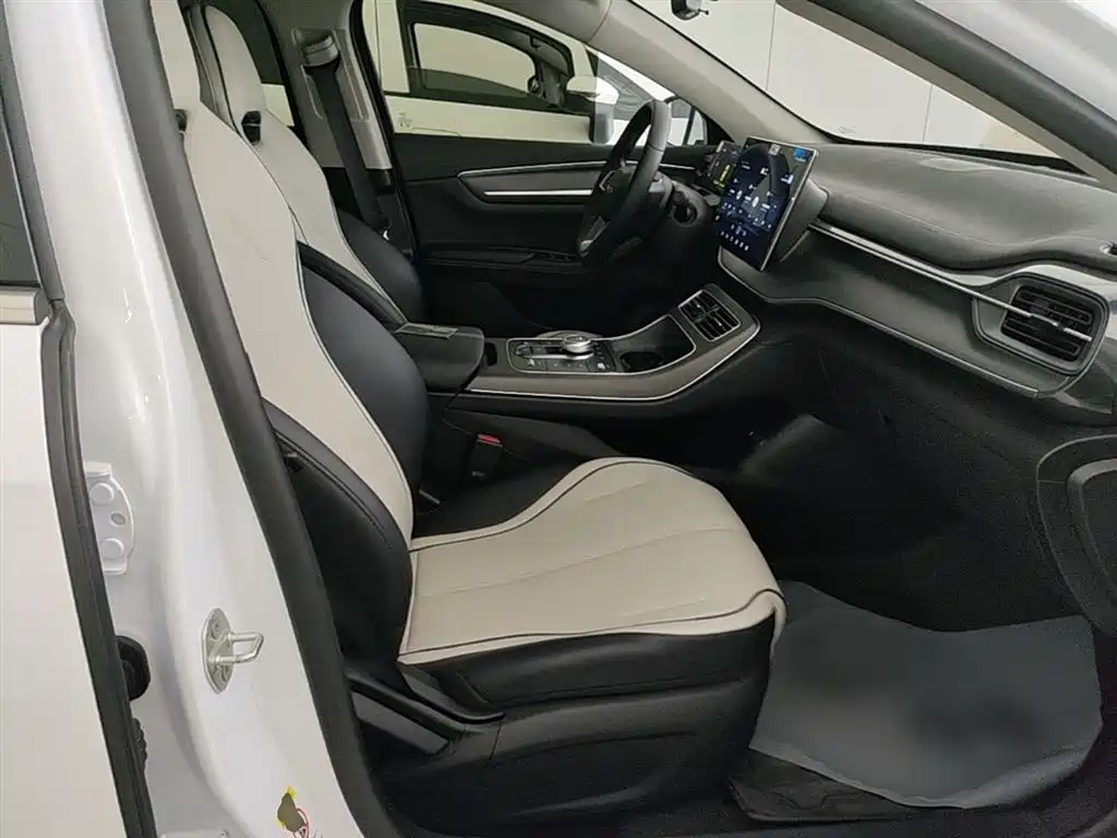BYD Destroyer 05 2024 Glory Edition DM-i 55KM Luxury фото 25