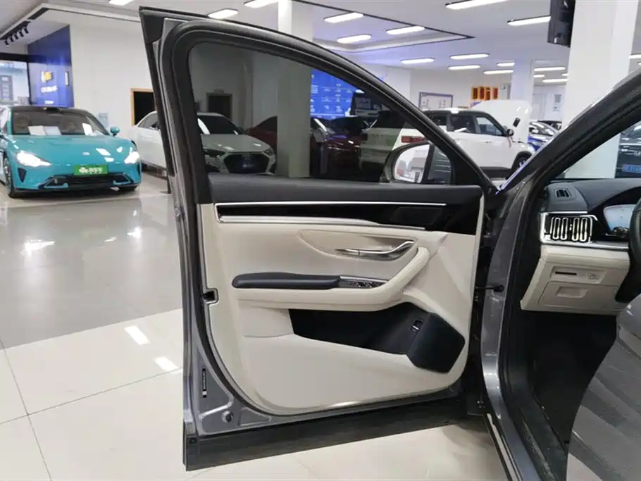 BYD SONGJIANG NEW ENERGY