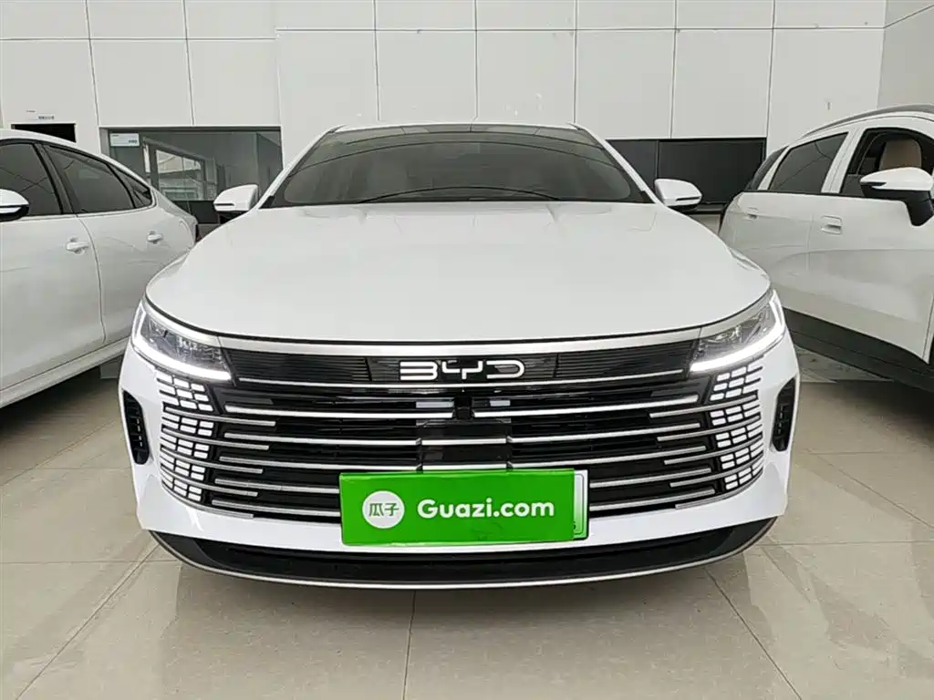 BYD Destroyer 05 2024 Glory Edition DM-i 55KM Luxury фото 3