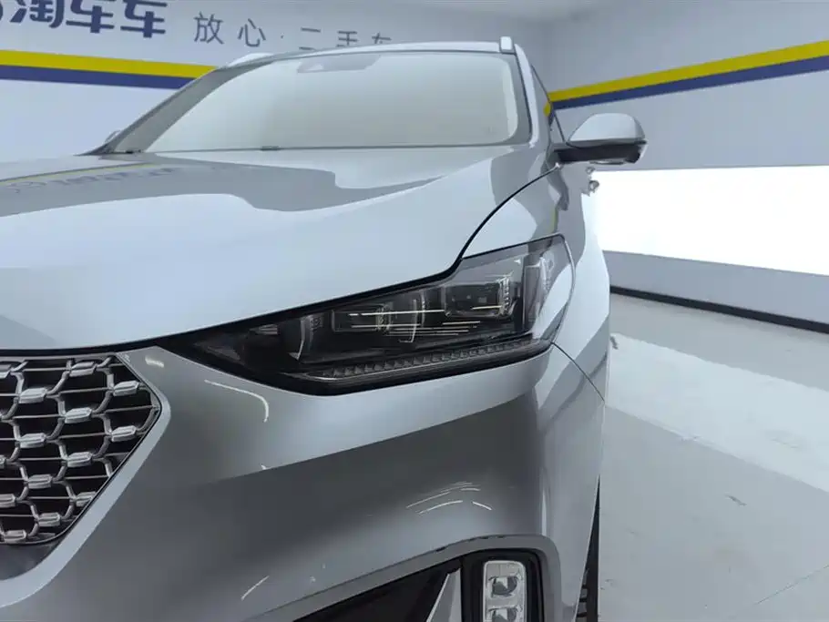 WEI PAI WEI BRAND VV6