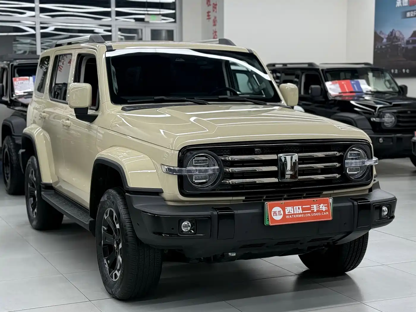 TANK TANK 300 NEW ENERGY