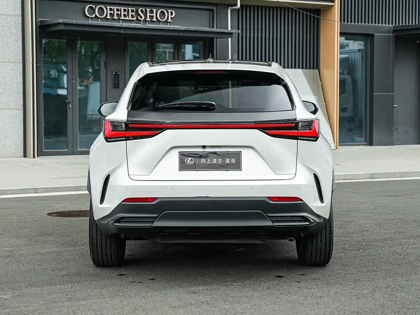 Lexus NX 2025 260 FWD Special Edition фото 5