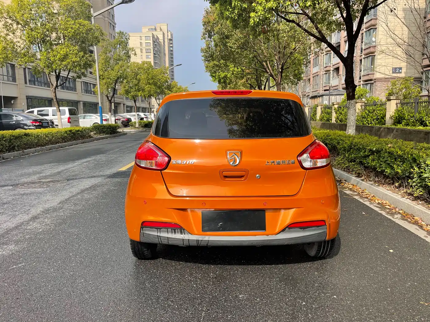 BAOJUN 310