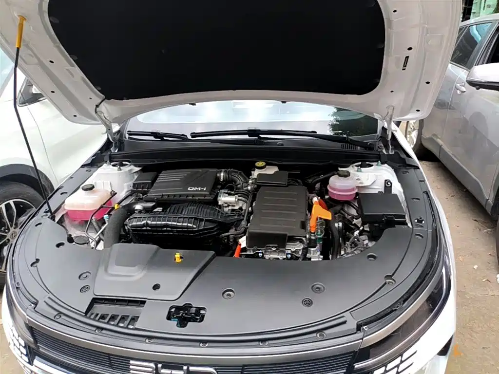 BYD Destroyer 05 2024 Glory Edition DM-i 55KM Luxury фото 20